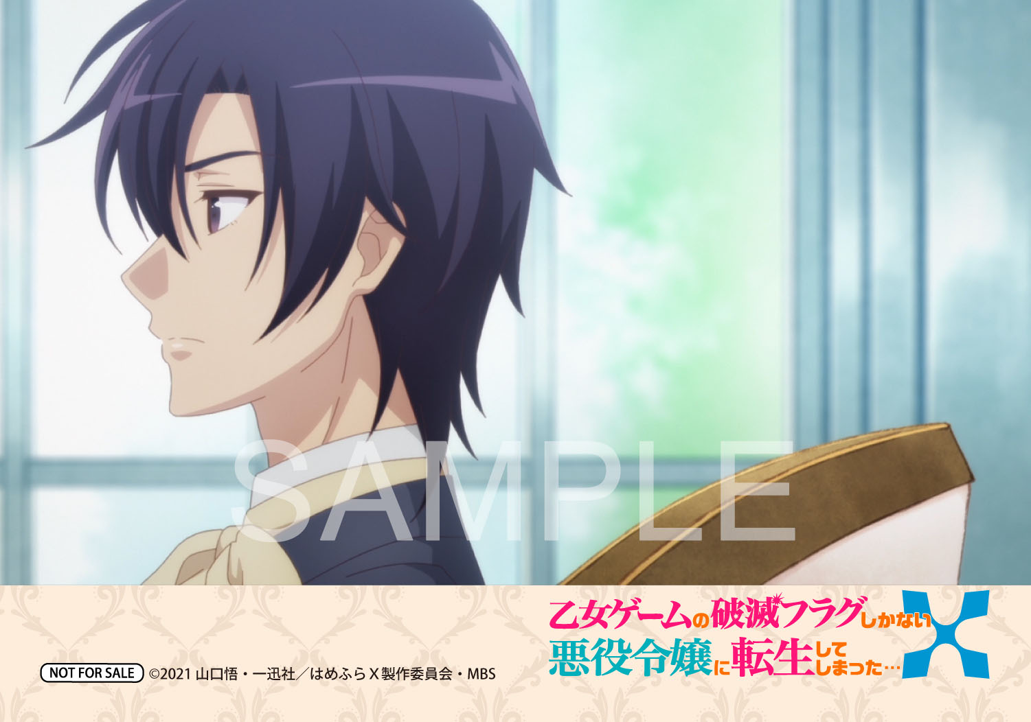 PACKAGE｜TVアニメ『乙女ゲームの破滅フラグしかない悪役令嬢に転生し 